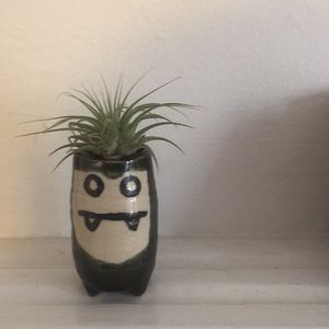 Meet your Posher, Angus